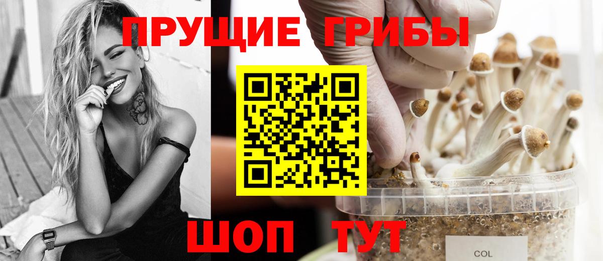 Галлюциногенные грибы прущие грибы Елизово