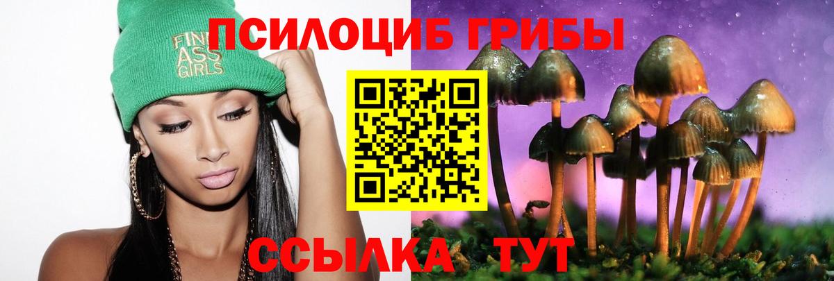 Псилоцибиновые грибы Cubensis  Вход с VPN  Галлюциногенные грибы GOLDEN TEACHER  Елизово 